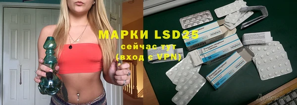 прущий лед Инсар