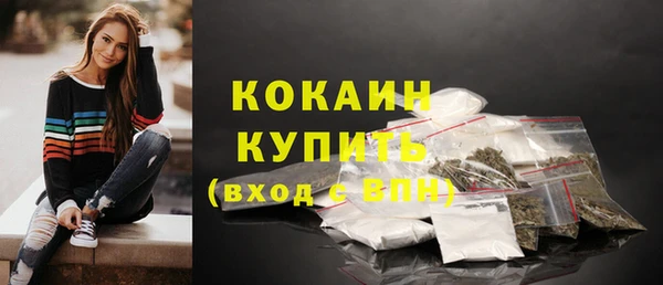 mix Инта