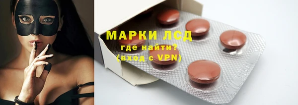 прущий лед Инсар