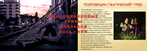 mix Инта