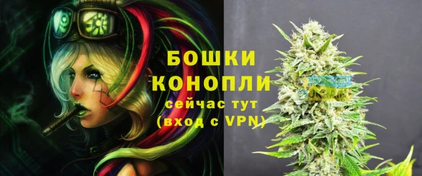 mix Инта