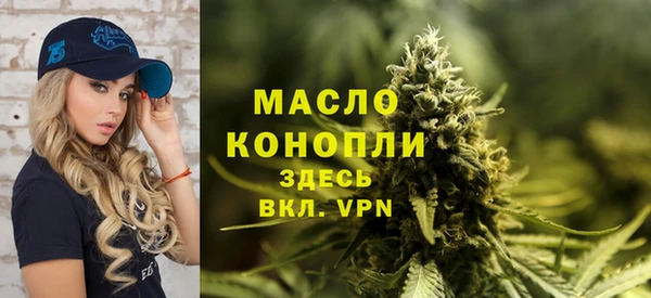 прущий лед Инсар