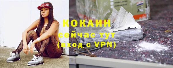 mix Инта